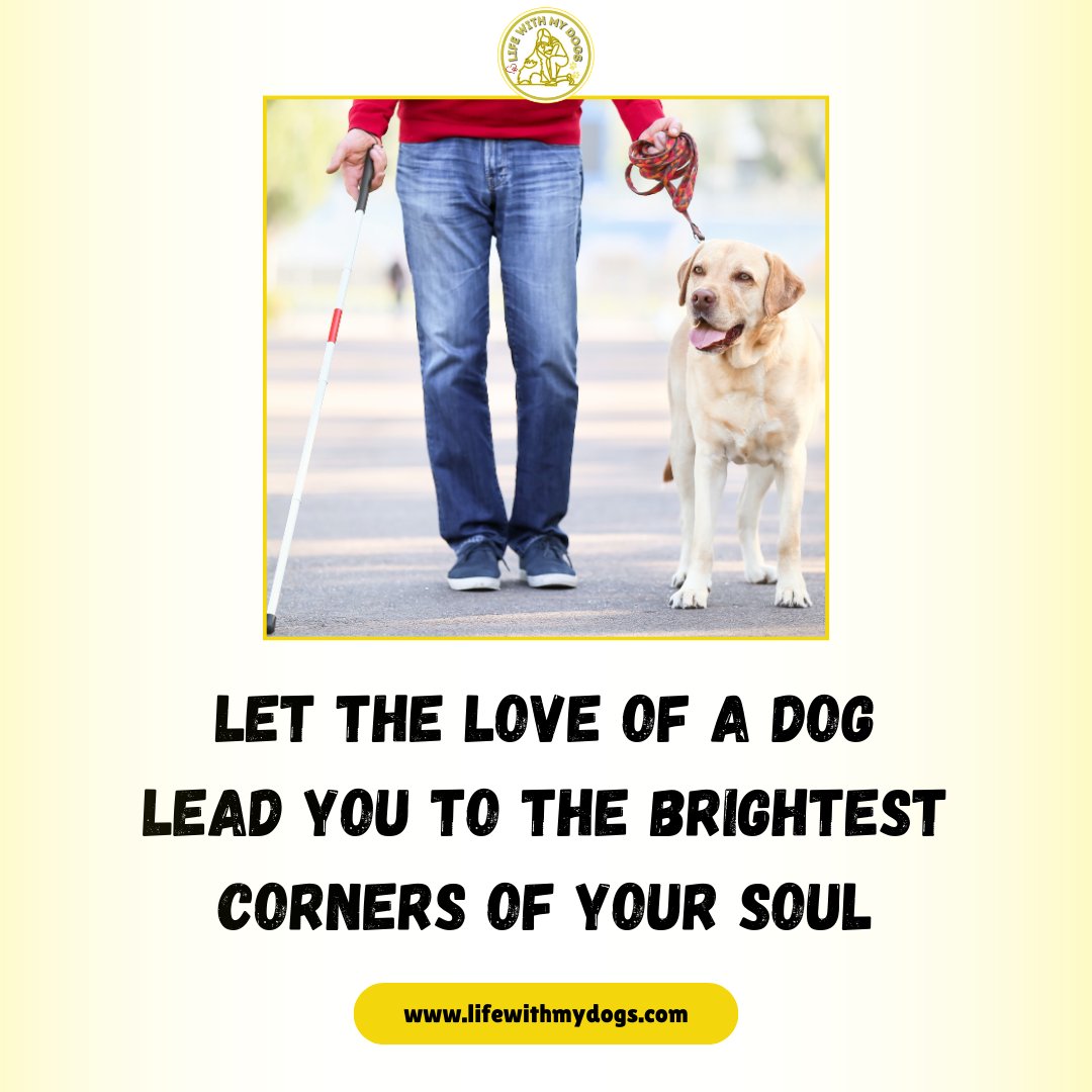 LifeWithMyDogs9's tweet photo. Follow the pawprints of love to the depths of your soul. 🐾❤️ Discover more dog information, visit https://t.co/rVNuPcJ7Pk  #doginspiration #pawfriends #fureverbabies https://t.co/zN0UkshPvf