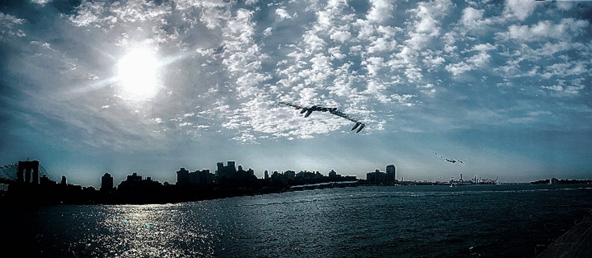#eastriver #Manhattan #Queens #Brooklyn #NewYorkCity #uppereastside #seagull #NaturePhotograhpy #NatureLover #streetphotography #photooftheday #newyorkstateofmind #brooklynphotography