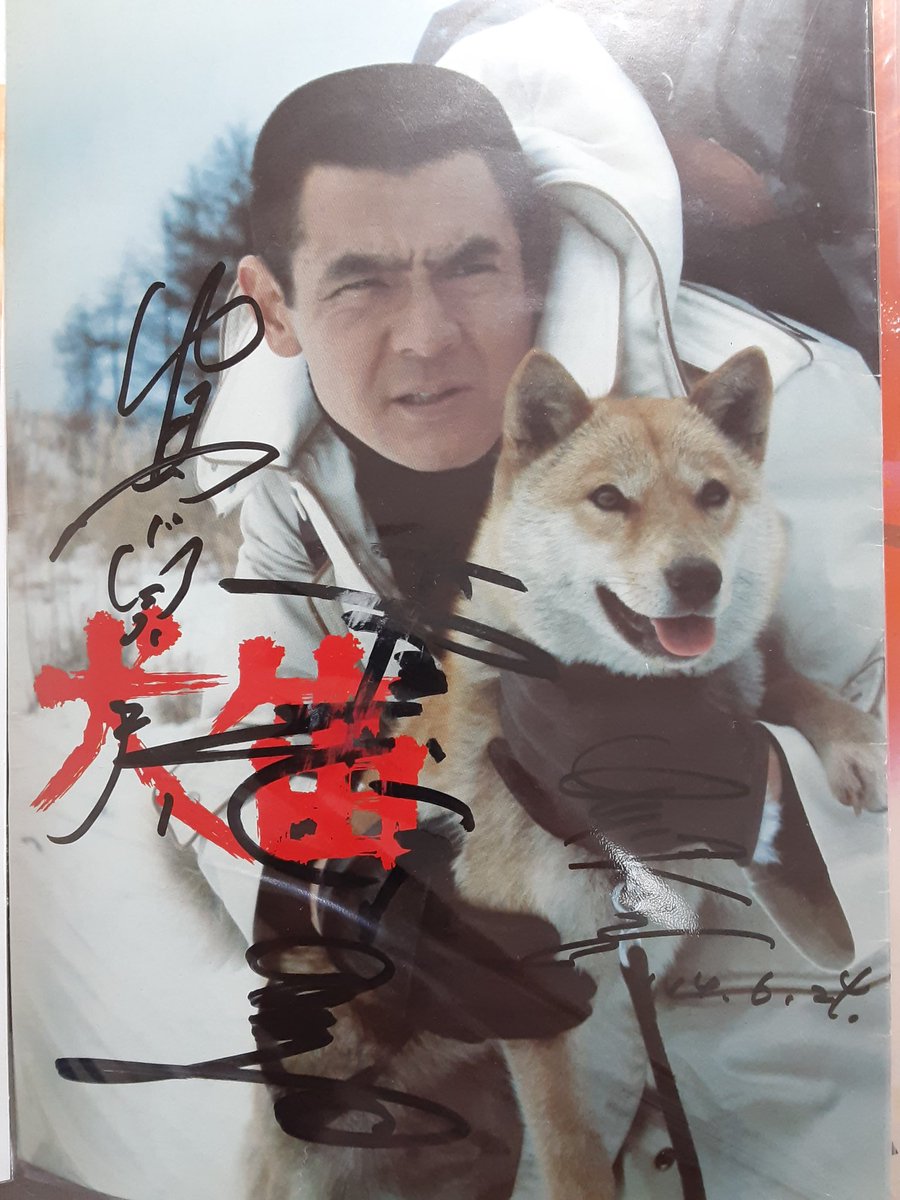 今日は「愛犬の日」
映画「犬笛」
サインは
中島貞夫監督と菅原文太さんと
竹下景子さんの寄せ書き
皆さんとってもフレンドリー(^^)dm(_ _)m