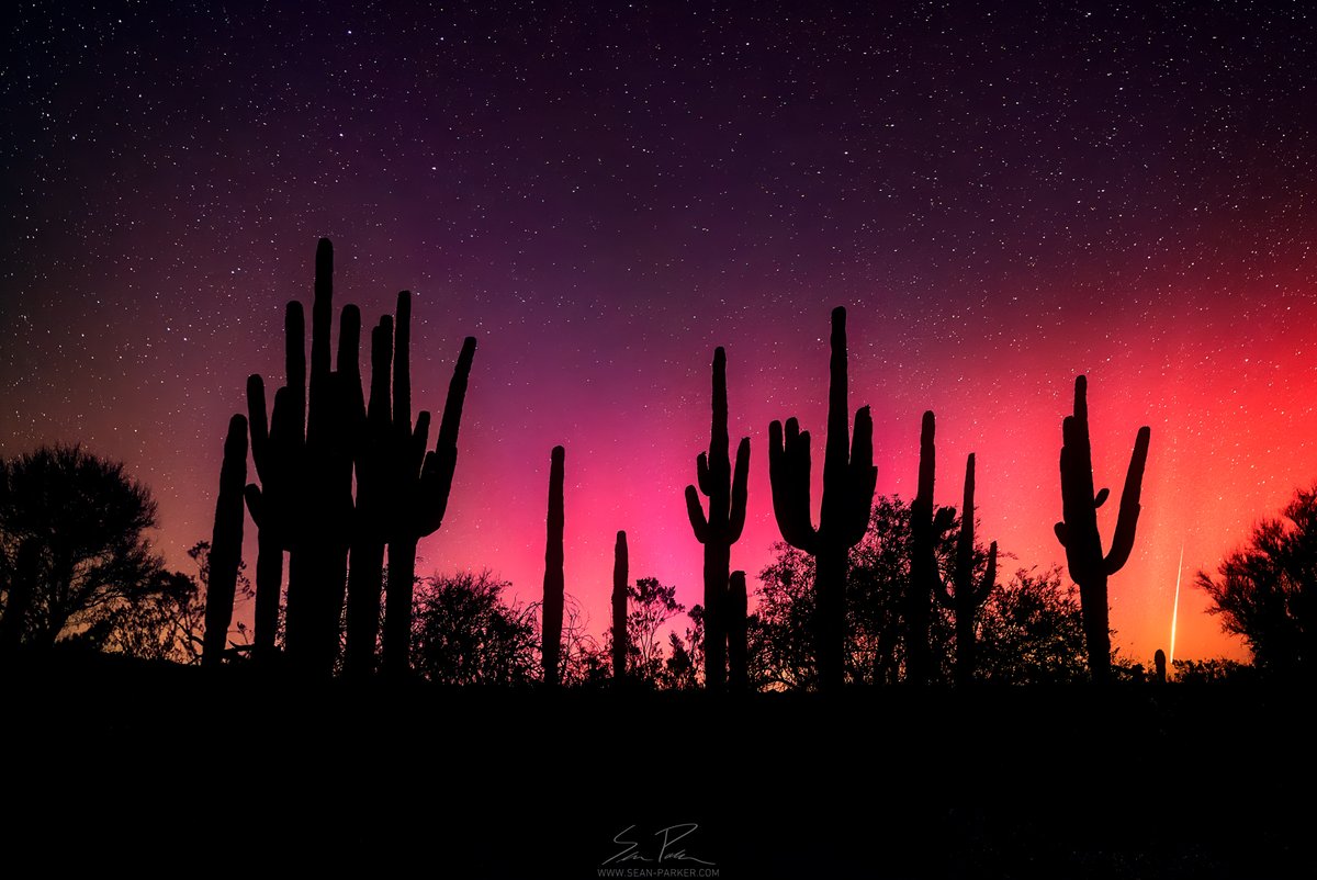 Oh dang, I caught a bright shooting star in the desert when the aurora was popping off! #tucson #aurora #nightsky #northernlights #photography