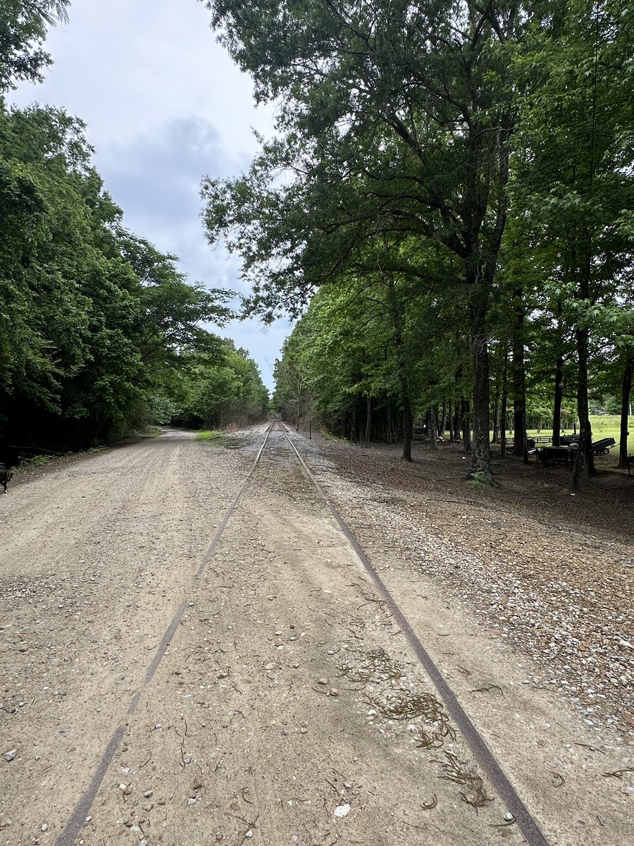 The very north end of the ole @IC_Railroad tracks in Yalobusha County, MS which was Casey Jones’s original run from  Water Valley to Canton. @BLET @railroad_fan