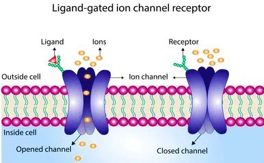 #LDRcouldAlsoStandFor ligand donates receptor