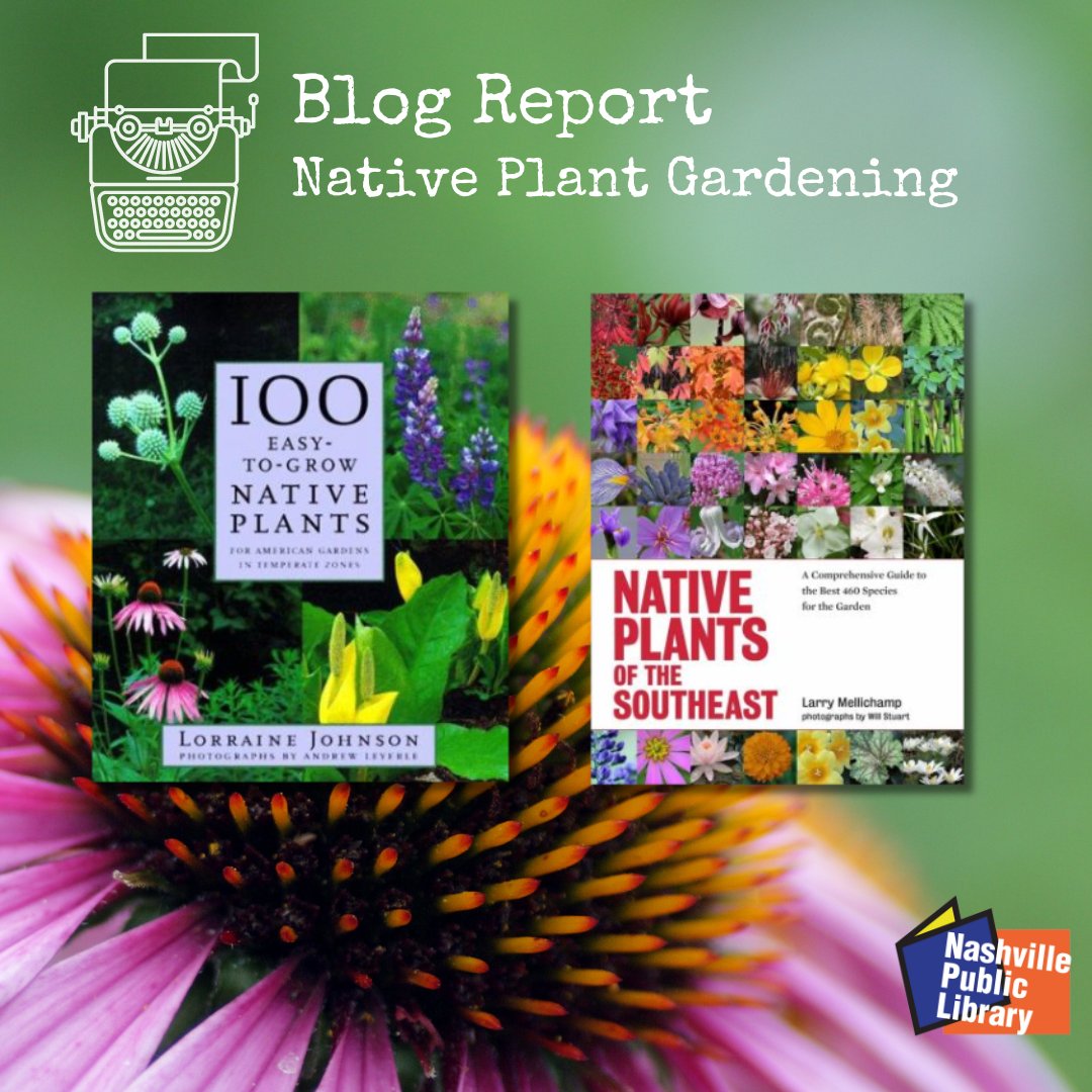 Want to get started gardening with native plants? Joy's got you covered with this blog post that's bursting with plant power — and the best books to get you going on your native plant-filled summer. library.nashville.org/blog/2024/04/n…