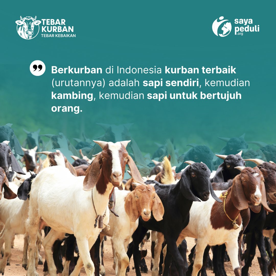 sayapeduli_offc's tweet photo. Mana yang terbaik Kurban Sapi atau Kambing??
#kurban #subuh #tebar #peduli
Menit Pagii https://t.co/I2yGK03eAZ