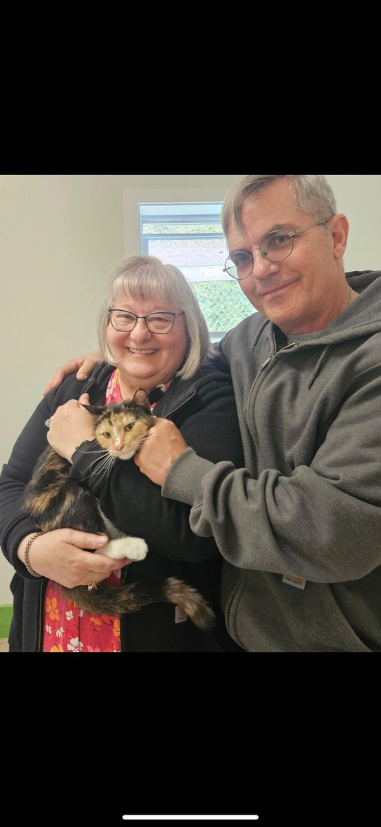 Cassie struck GOLD with her new forever family 🥰

 #animalshelter #animalshelters #fpas #rescuelife #sheltercats #rescuecats #sheltercat #rescuecat #animalrescue #rescue #PleaseShare #foreverpawsfamily #community #adopt #familypetsaresuperheros #CatsOfInsta