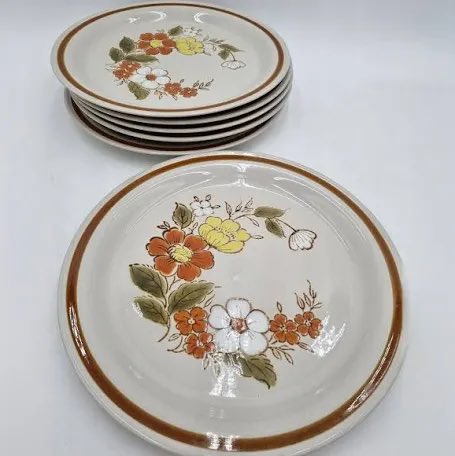 @GahNotThisAgain We dined royally off the Coles Supermarket stoneware collection