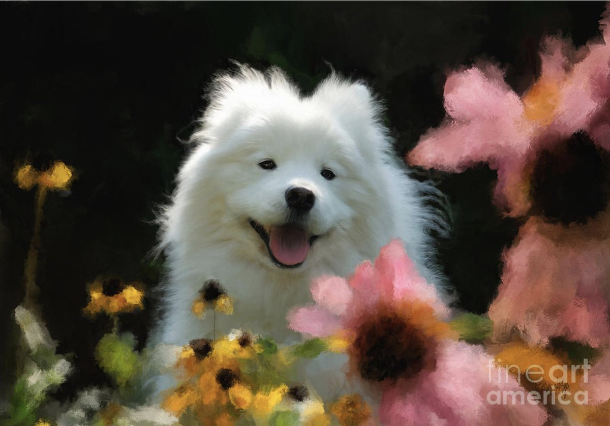 Thanks to my 5/11 #FineArtAmerica client from Tuen Mun, NT Hong Kong  for their purchase of two zip pouches! Happy Gal In The Garden ... lois-bryan.pixels.com/featured/happy…

#art #giftideas #samoyed #samoyeddog #samoyedsofinstagram #dogs #pets #LoisBryan #BuyIntoArt #AYearForArt #NotAi