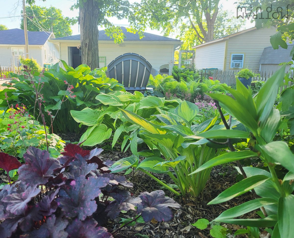 MindofMottram's tweet image. My mom&apos;s backyard in Indiana right now ☘️🌿🌱

California was so brown..
🦂🌵🌴

#MidwestX #Green #GardeningTwitter #garden #gardening
