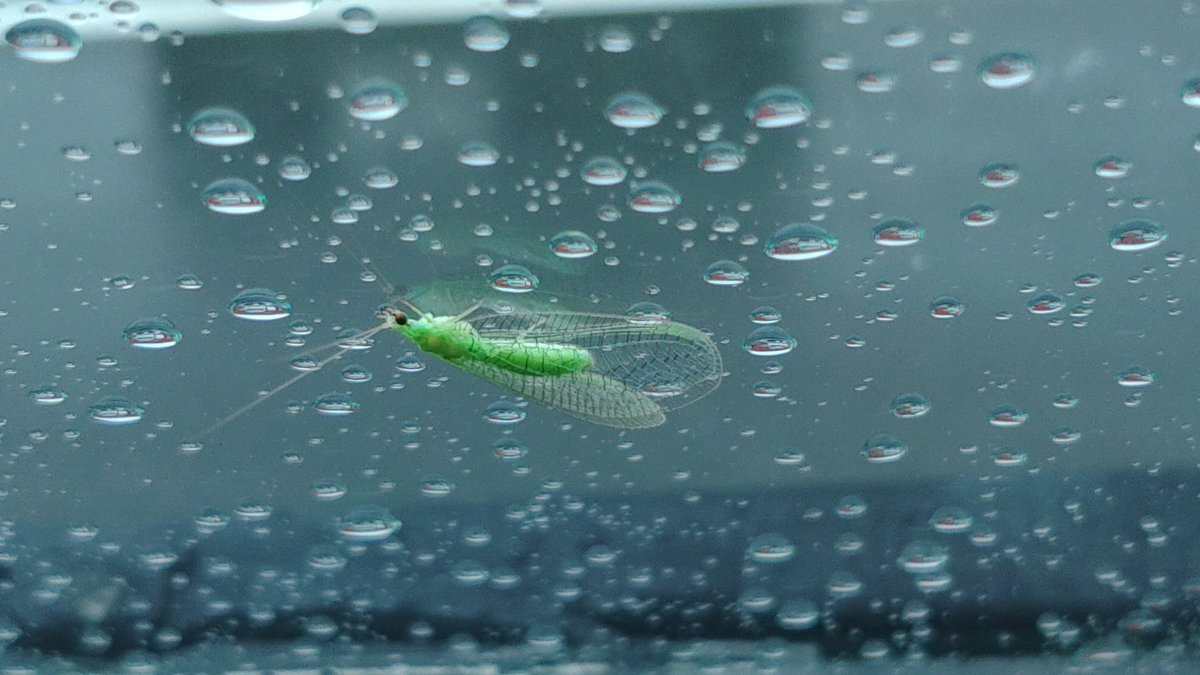 雨宿り