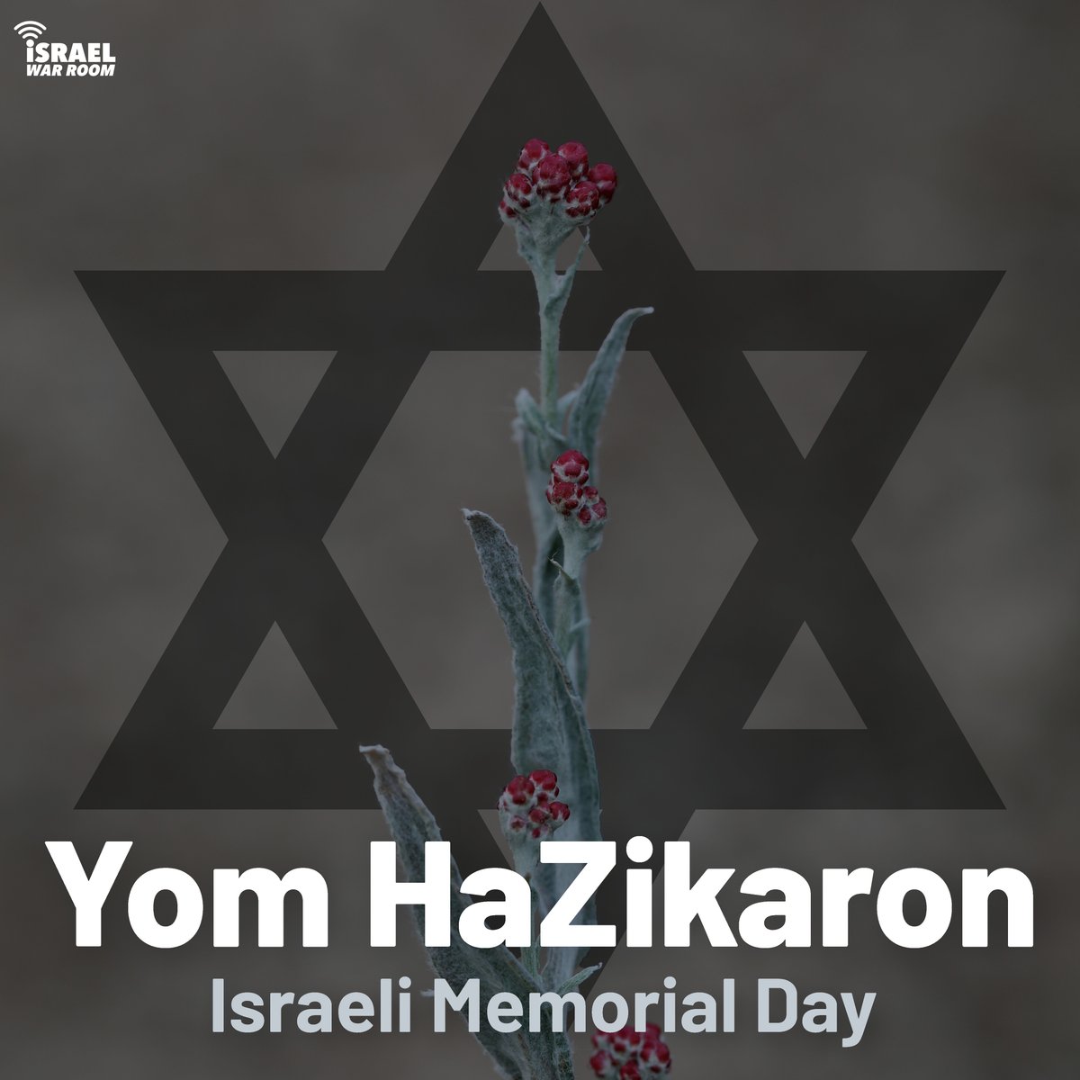 Tonight begins Yom HaZikaron. We remember the 30,140 civilians and security forces who have lost their lives in terror attacks or war in the battle to protect the Jewish homeland. 💔 🕯️ May their memories be a blessing.