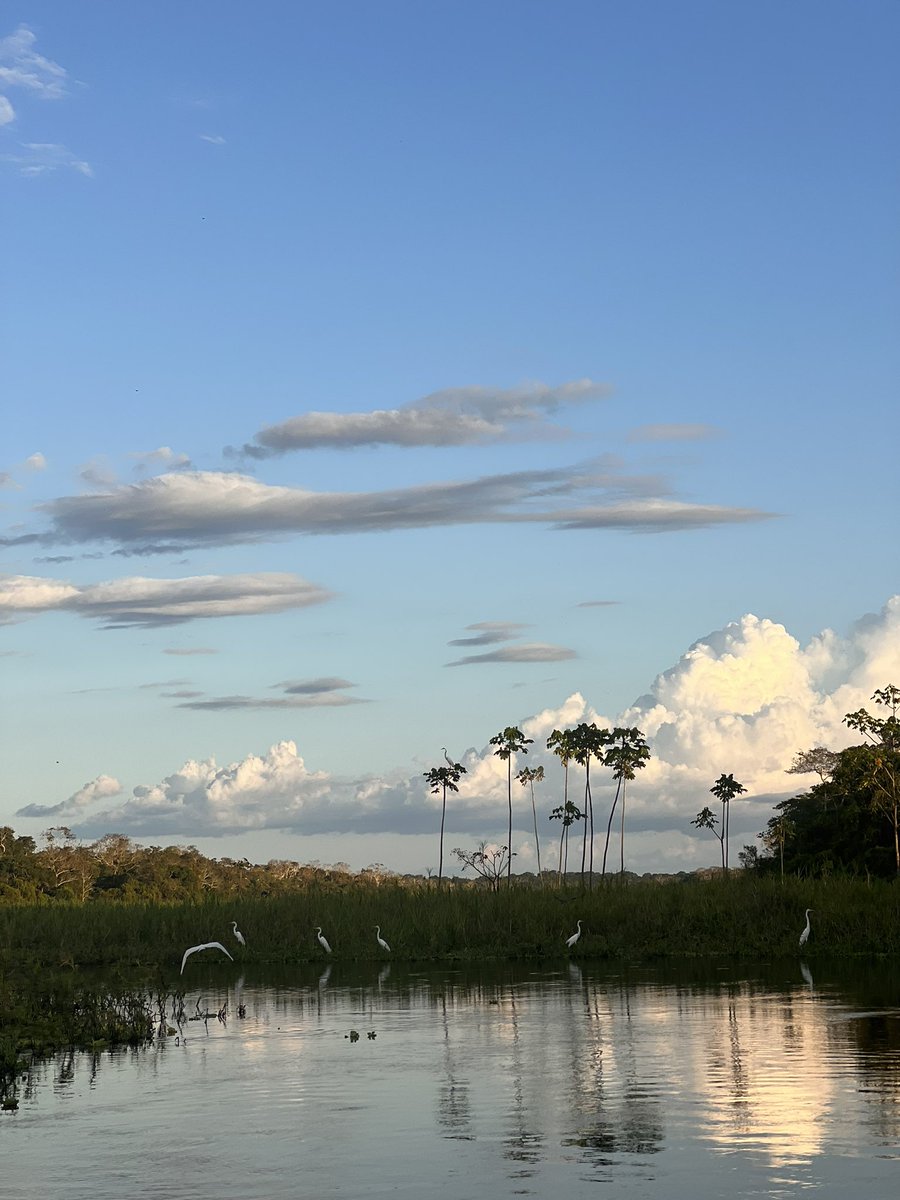 Day 1 in the Amazon. Spectacular beauty, sights and sounds. A reminder to slow down, be present and embrace nature. ❤️