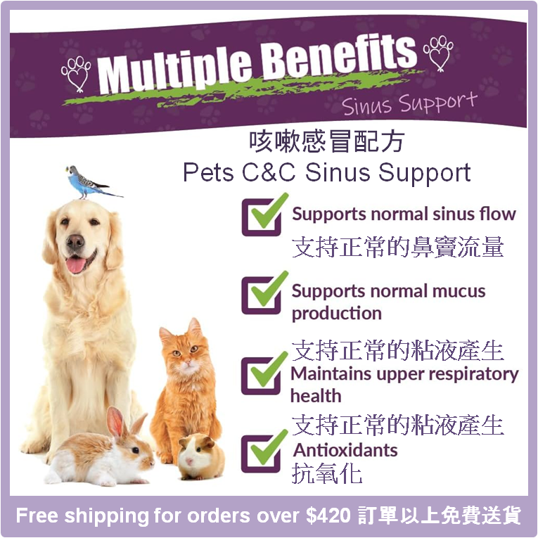 Dealing with acute respiratory health challenges associated with non-specific fever, runny nose, coughing, and acute respiratory congestion?  Try Pet's C&amp;C (Cough and Cold)
holisticpethelp.com/en/pets-c-c-1oz
#Cough #Cold #holisticpethelp #herbal #herbs #natural