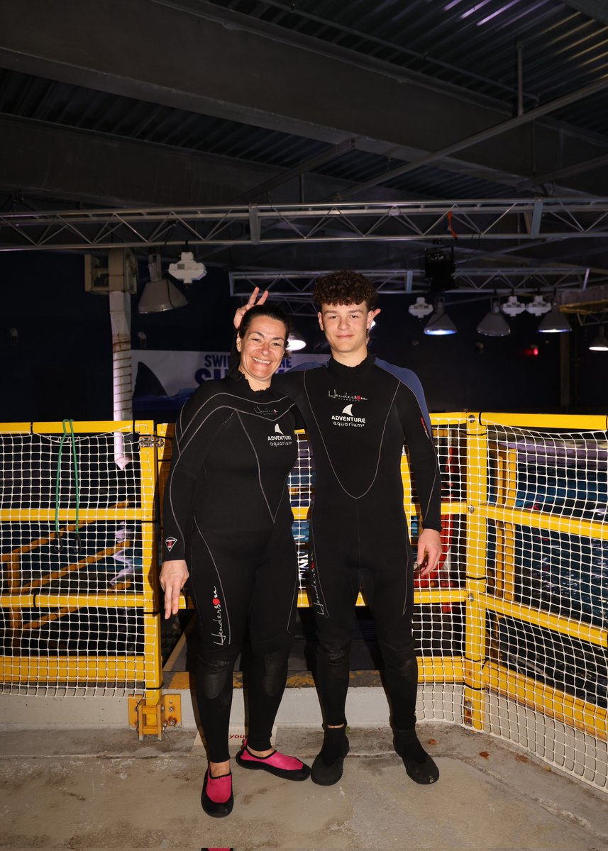 Andrea Caporale aka Mrs C tweet media