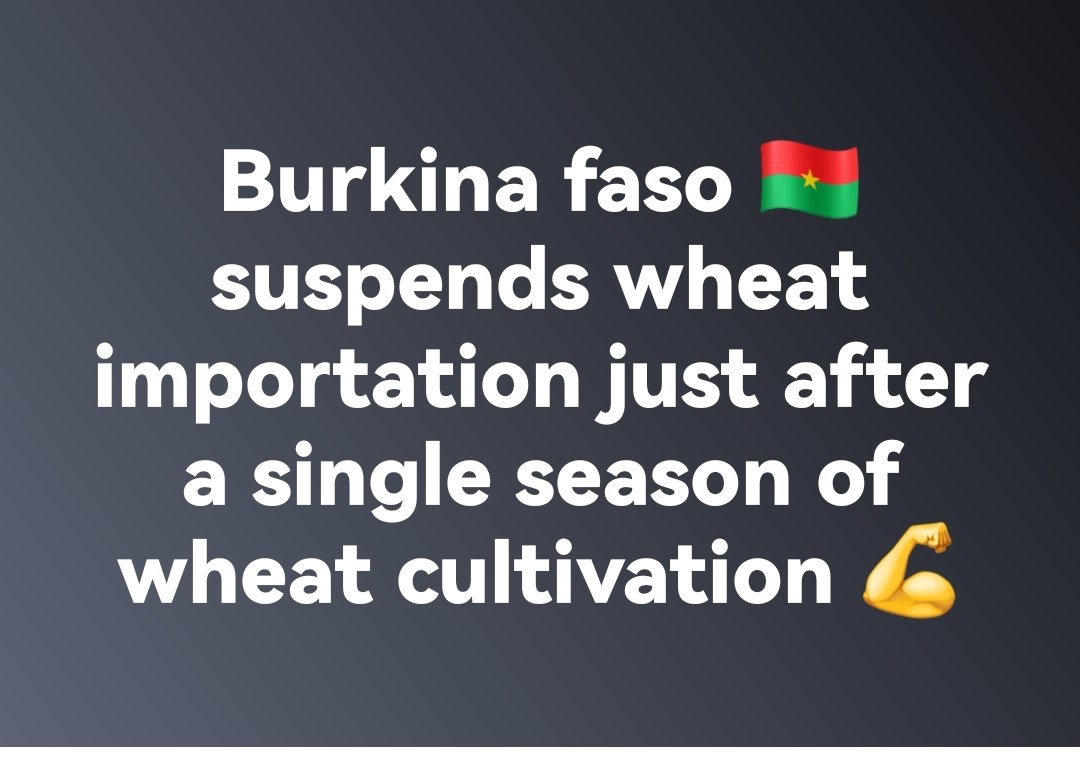 Just after a single season of Wheat cultivation, Burkinabe Faso has been able to cancel wheat imports from overseas and its farmers are thriving. I hope Africa will take note, we need to support our local farmers, and give them a reason to get up from bed and go to the farm.