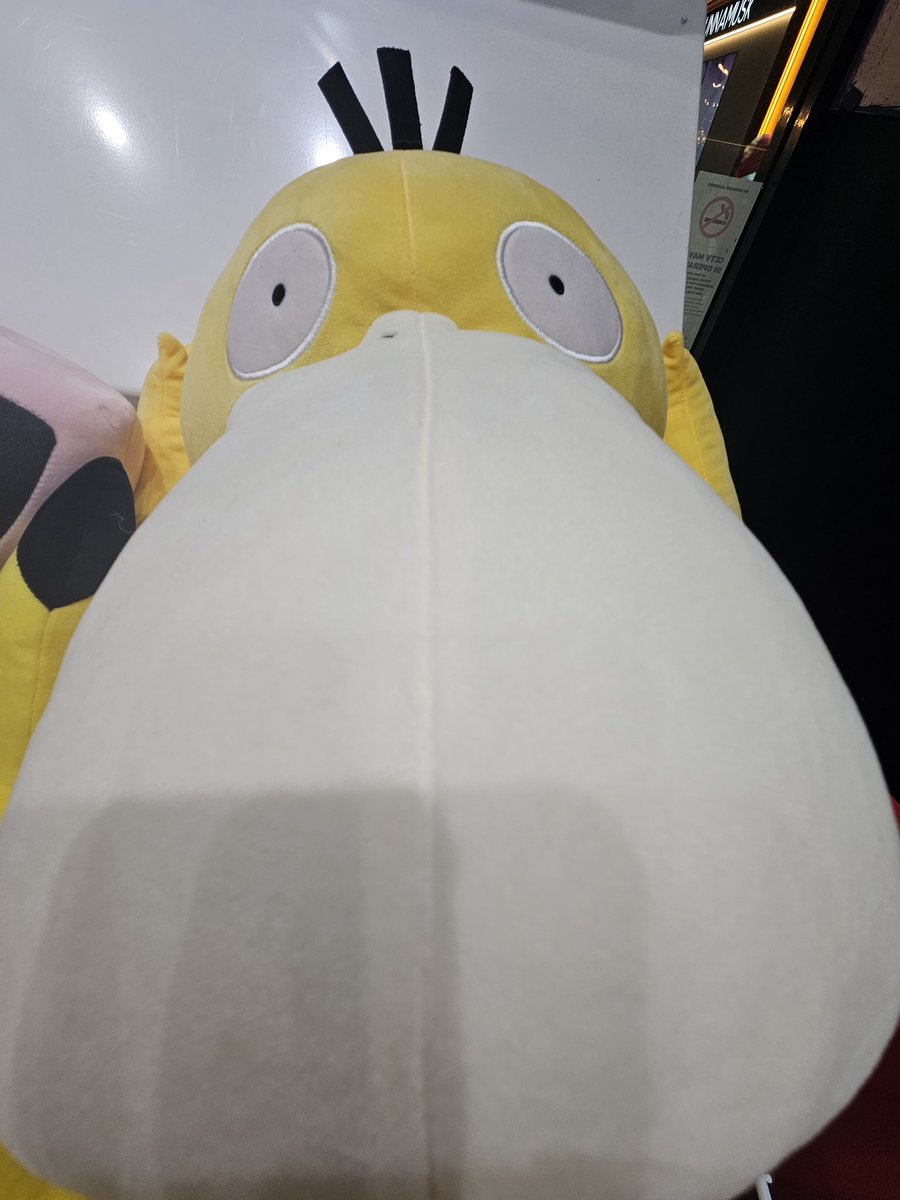some 0.5 zoom psyduck for ur consideration
