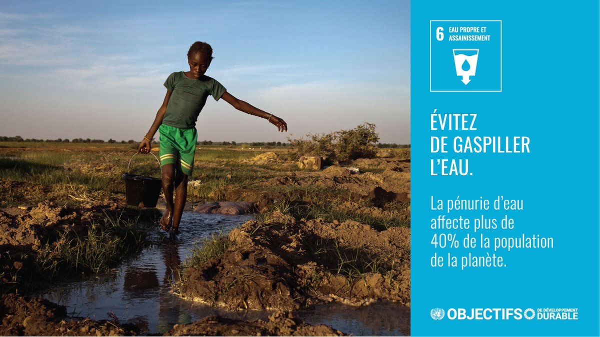 Lorsque nous gaspillons de la nourriture, nous gaspillons aussi de l'eau. 💧💧 Nous ne pouvons pas nous permettre de gaspiller cette précieuse ressource ! #ChaqueGoutte compte! 💙 Suivez le travail de l'ONU sur l'#ODD 6: buff.ly/2TOabvu #ObjectifsMondiaux #AgirPourlEau