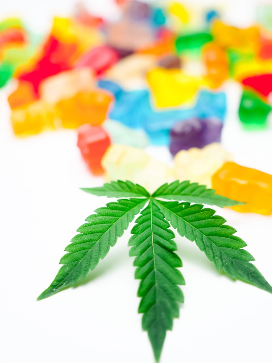 #edibles #gummies #cbd Let's explore the differences between high vs low strength CBD gummies to help you make an informed decision. CBD, short for cannabidiol, has gained significant popularity cbdsmokeshop.store/?p=41188&utm_s… #cbdoil #thc #vaping