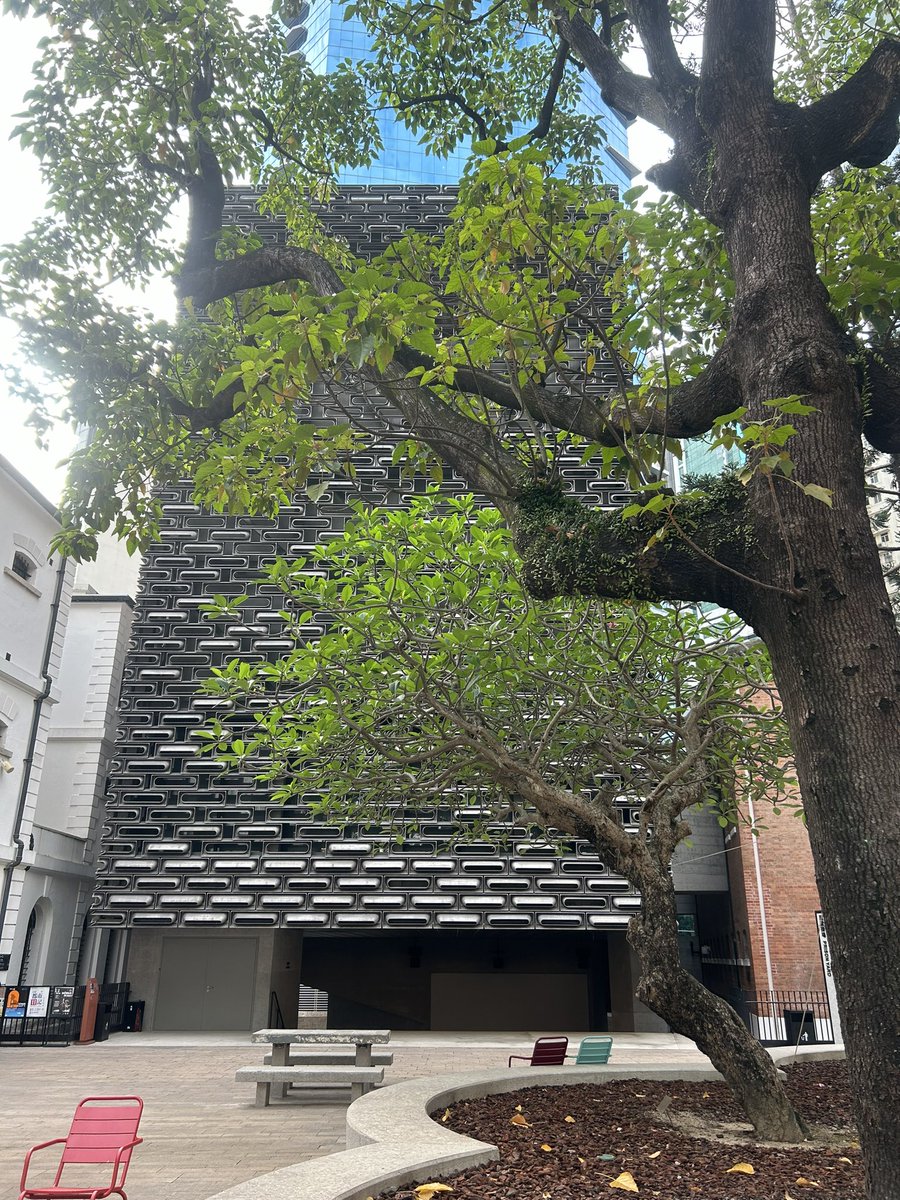 Molly Brown @molly-rc-brown.bsky.social tweet media