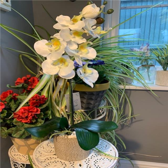 ShelfEdge's tweet photo. 🌼 Happy Monday, flower lovers! 🌸 Who's going potty for our stunning faux potted flowers? 🌺 Brighten up your space with everlasting beauty! 💐

Shop direct 👉 https://t.co/LxM76HYWxi
Shop ebay 👉 https://t.co/GOllI3gXTN

#ArtificialFlowers #HomeDecor #HappyMonday #Potted https://t.co/wGaX8wR08i