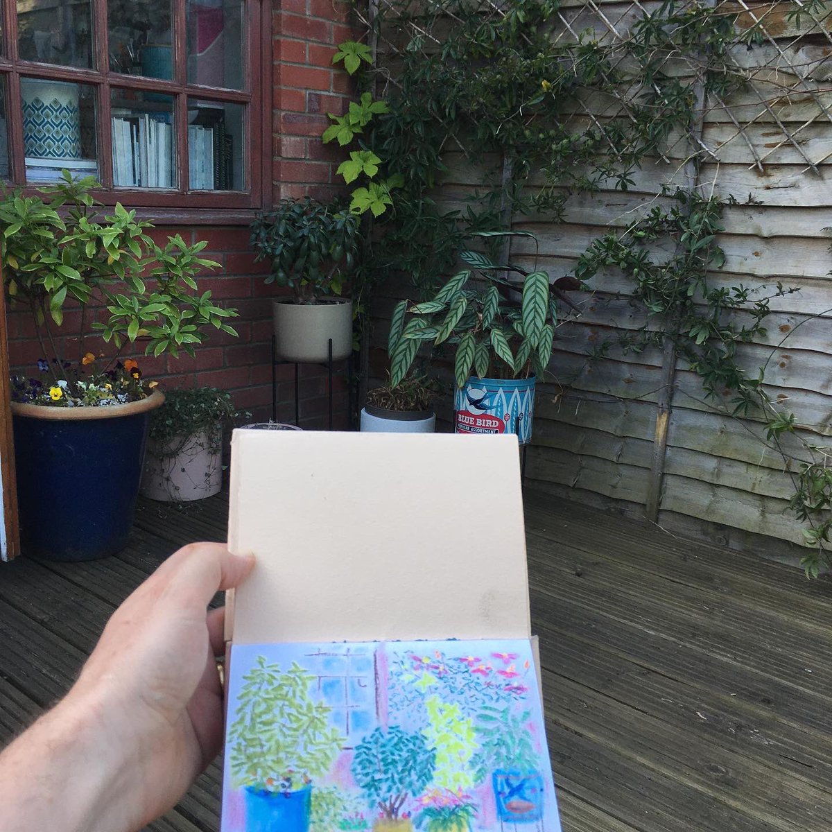 Sunday afternoon pastel sketching on the patio at home. #dailydrawing #gardendrawing #ArtistOnTwitter #ArtistOnX #thedailysketch