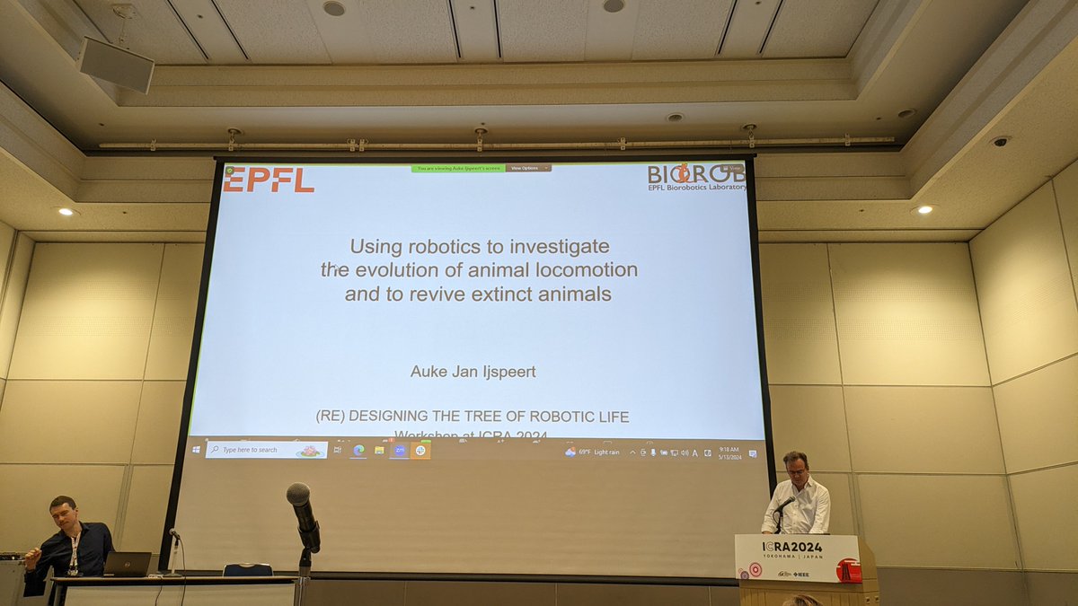 Using robots to investigate the evolution of animal locomotion and to revive extinct animals. Interesting talk by @BIOROB_EPFL #icra24 #ieee #ieeeras #ieeespectrum