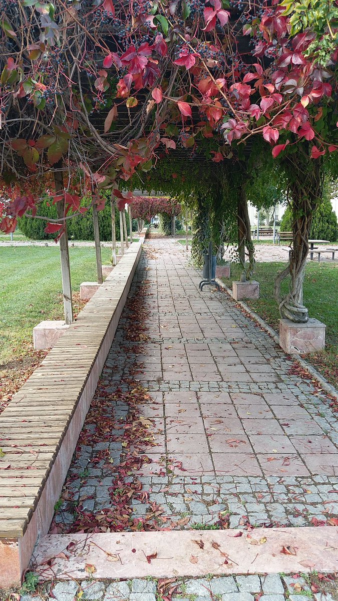 Günaydın Ege Üniversitesi ☀️
Fotoğrafların çekildiği 4 yeri bilebilir misin?