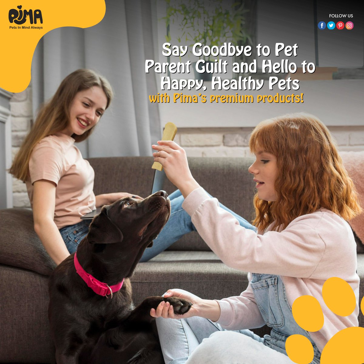 Yo fellow fur parents! Stop feeling guilty about your pet's well-being and get your paws on Pima's premium products! It's time to give our furry friends the best!

.

#pimacanine #dogtreat #dogtreats #dogust #naturaldogchew #petlover #pima #pimapet #doglovers #dognutrition