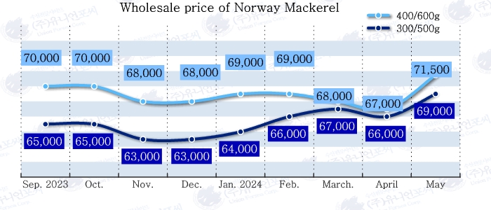 UnionForsea's tweet photo. Mackerel's prices rise sharply due to lower imports.
of frozen mackerel imported through April was 24,052 tons, a 15.1% decrease in imports compared to 28,326 tons in 2023, and domestic distribution prices are turning upward. https://t.co/zVkMmeyUTG