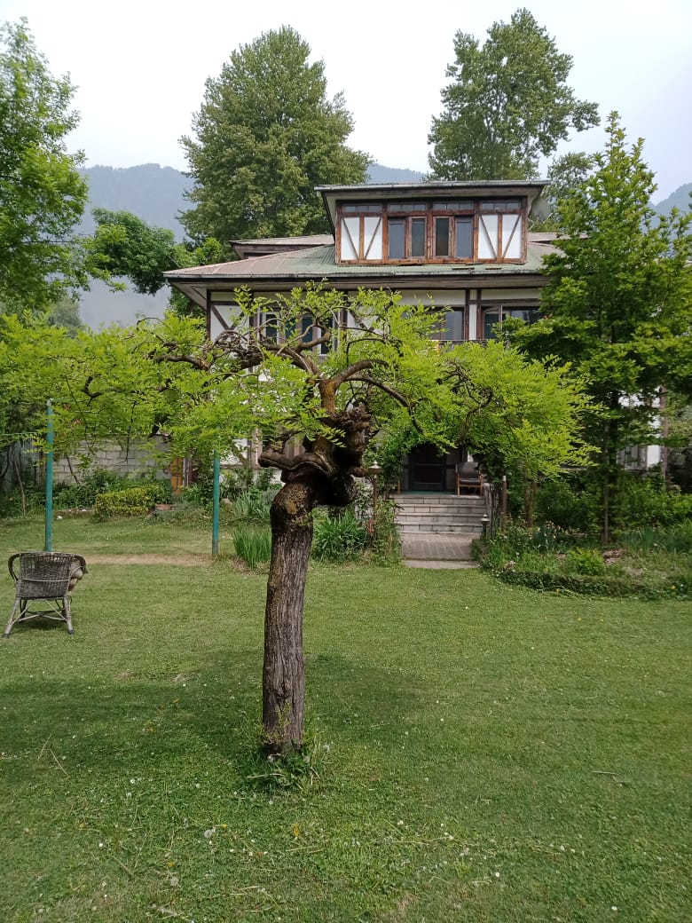 Plot in Srinagar 35l sq ft Commercial n residential,only 200 meters from Bolward road Nishat. One can construct a big 5 star hotel. The property has a beautiful natural spring 1 house and 2 guest houses and Apple 🍎 orchard, asking price 35 cr.