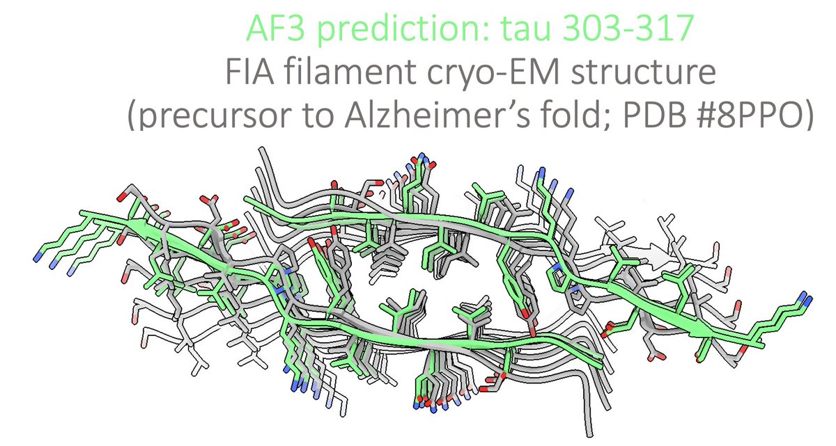 AlphaFold3 predicts a structure extremely similar to the FIA filament discovered by  Sofia Lovestam, @SjorsScheres, et. al.

This is likely the most important amyloid for our society to drug. Please use your 10 jobs/day to screen antibodies/nanobodies/minibinders targeting this!