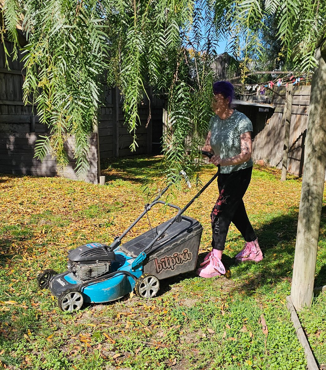 Spied in stealth mode @bitpixi beta-testing her new start-up

@BunkerS3X Lawnmowing services