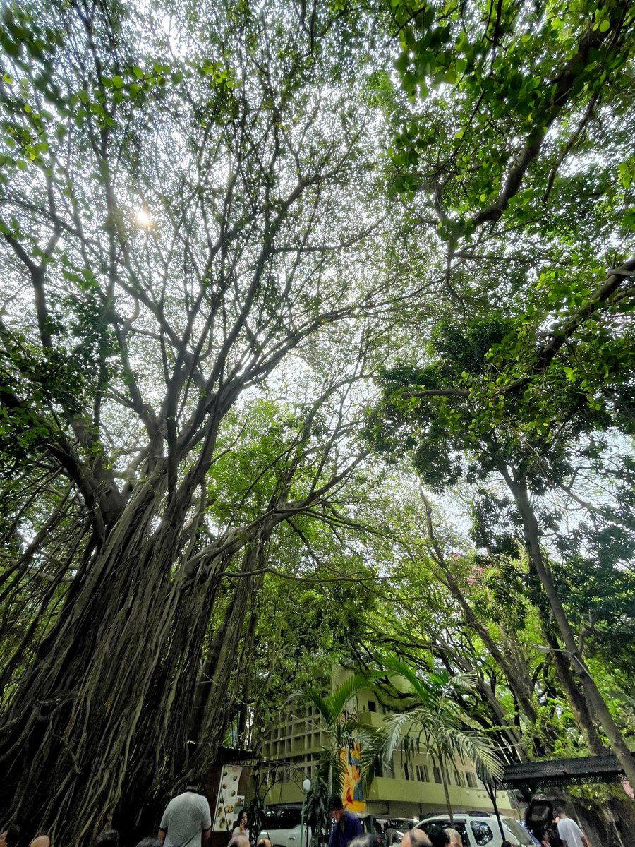 The tipping culture is going out of hands in Bangalore too!!! Yesterday, the Airlines Hotel waiter even didn’t serve us water after repeatedly asking and just showed us his QR code for a tip!!! 😾