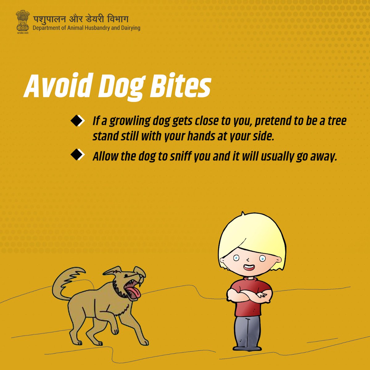 Stay calm and be a tree to avoid dog bites; let them sniff and move on. #avoiddogbites #PreventRabies #VaccinateNow