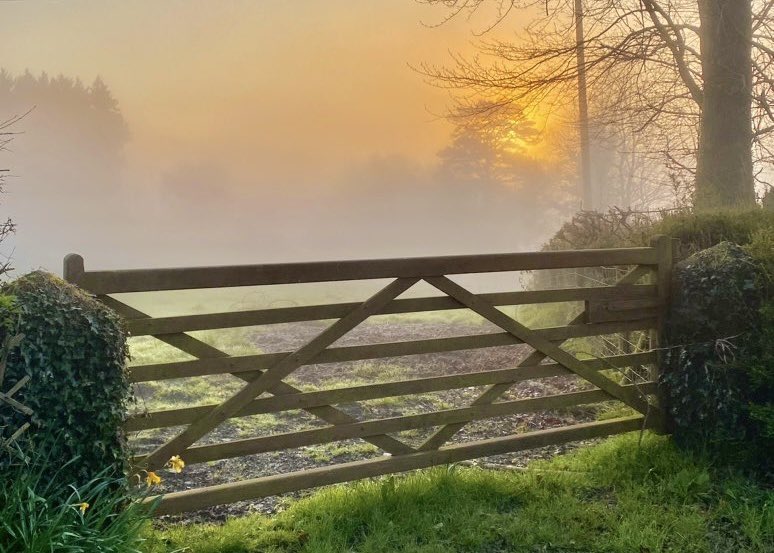 Bore da…llun bach cloi o ben hewl ni wrth ymadel am Llunden i ddal trên cynnar…joiwch eich diwrnod x Bore da…a quick pic from the top of our lane as I leave for London to catch an early train…enjoy your day x