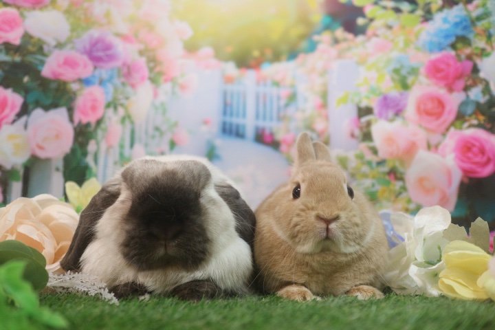 三年寝太郎 (@san_nen_netaroh) / X