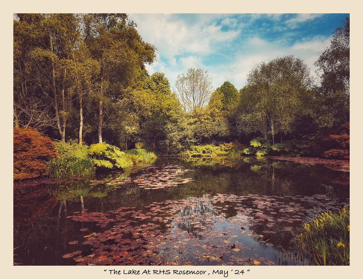 Good morning Twitter pals , wishing you a great week ahead 👋❤️🍀 . Here’s a retro edit shot from @RHS_Rosemoor yesterday #photography #landscape @OPOTY #fujifilm_xseries #ThePhotoHour #StormHour #snapseededit #appicoftheweek #wexmondays #Fsprintmondays