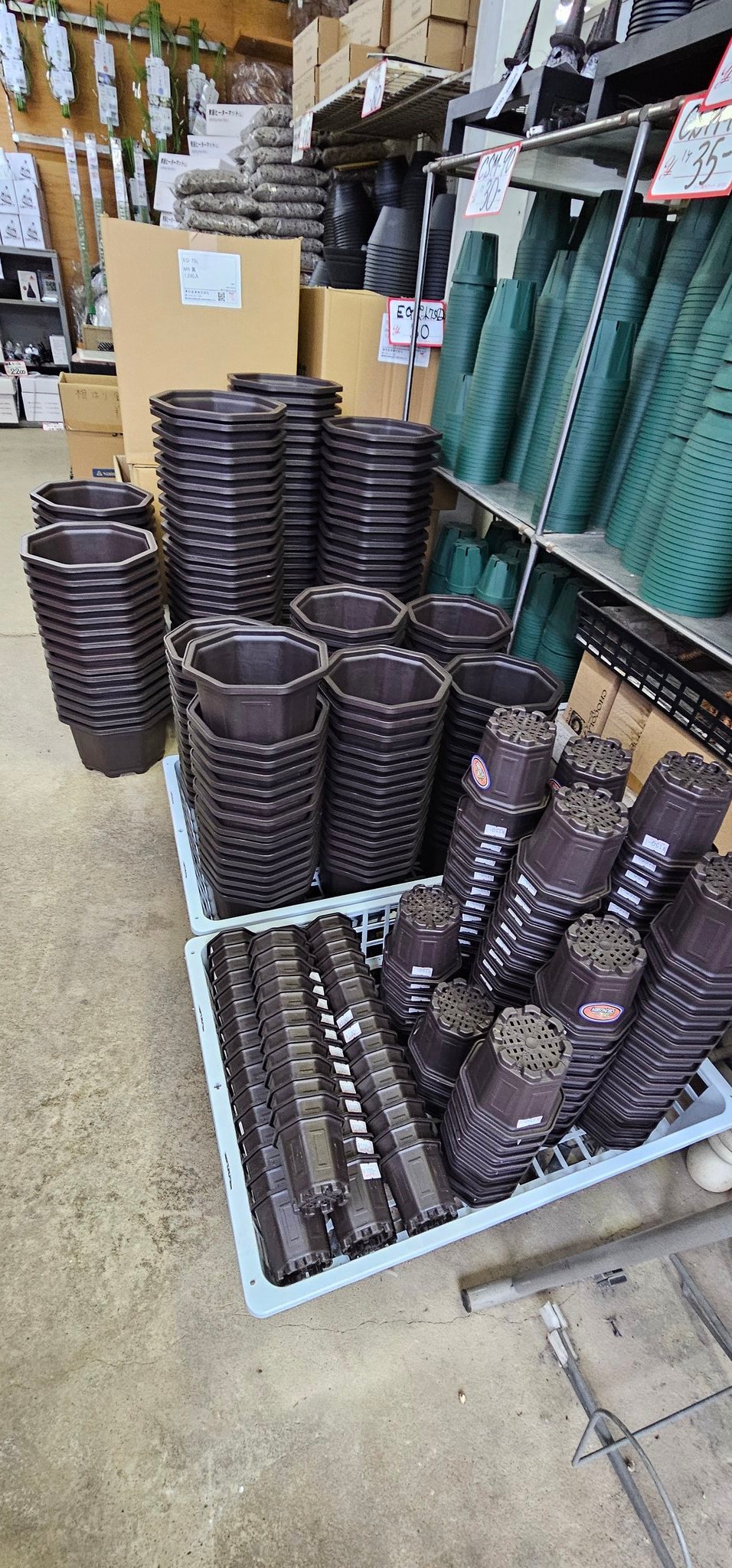 398円 フラワー・ガーデニング 新品 台湾八角鉢 5寸 20個 Agave鉢