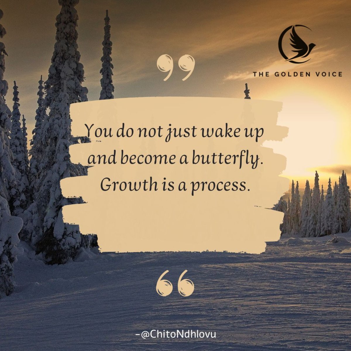 Whether you’re starting your own business or learning a new skill, one thing’s for sure: It takes time. Give yourself grace to become that butterfly!

#ChitoNdhlovu #TheGoldenVoice