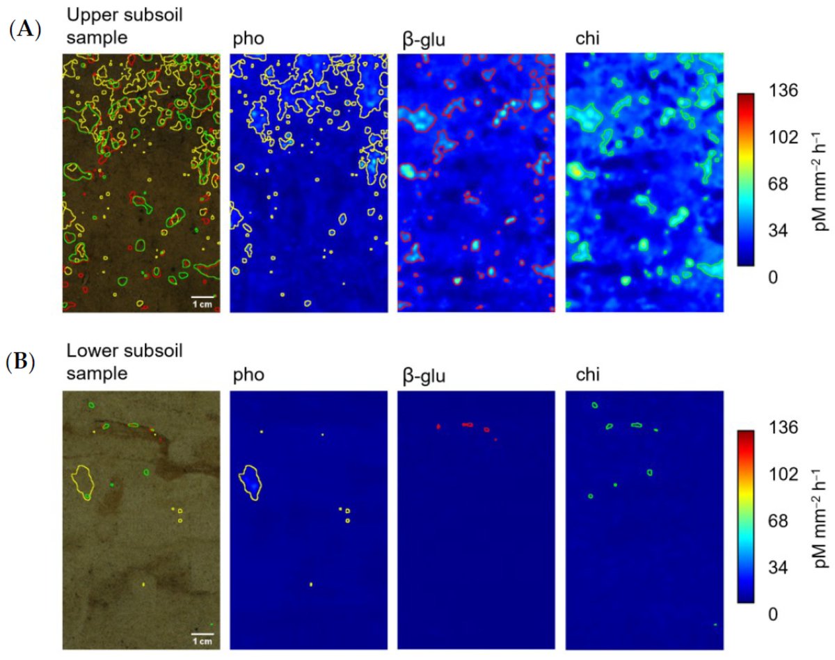 soils_mdpi's tweet photo. #Soil Enzyme Activity Response to Substrate and Nutrient Additions on Undisturbed #forest #Subsoil Samples
https://t.co/BqVTBj6GO2

by Theresa Reinersmann *, Michael Herre, Bernd Marschner and Stefanie Heinze

@ruhrunibochum 

#zymography #nutrientlimitation #hotspots https://t.co/ZbZtKZTsmX