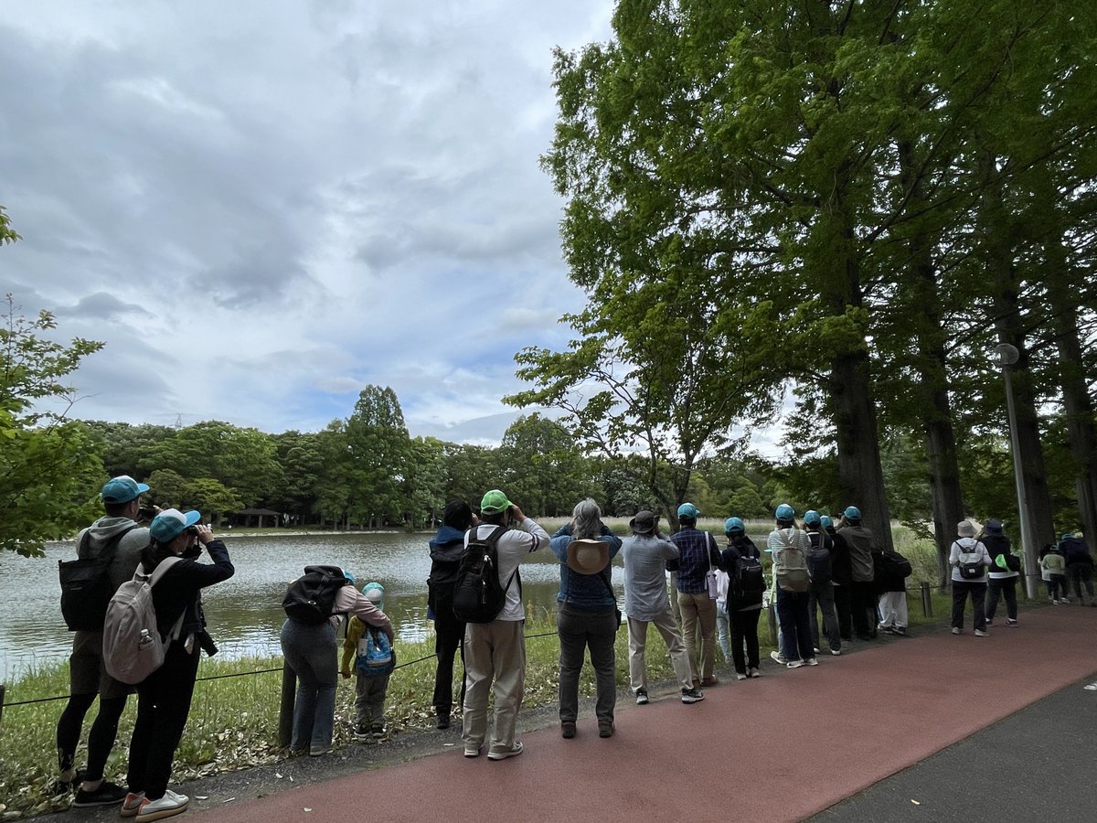 SDGs36258116's tweet photo. 自然写真家　高野丈さんと一緒に公園の鳥たちを観察しました。 風も強く鳥たちを見つけるのはなかなか大変でしたが、全部で25種見つけることができました。
 洞峰沼では、カイツブリが子育て中。無事育ってほしいですね。
観察会のフィナーレでは、オオタカの幼鳥が公園の上空を舞いました。 #洞峰公園 https://t.co/F1TdQ5YlzY