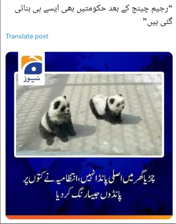 Form 47 Panda in Pakistani Zoo... #JusticeForImranKhan #نو_مئی_یوم_فسطائیت @TeamiPians