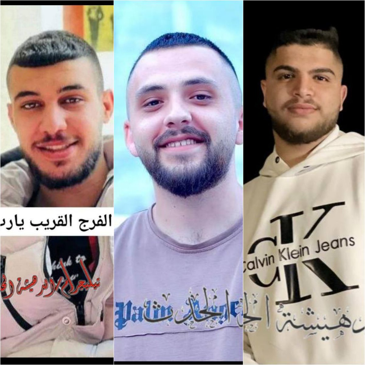 ⭕ Zionist occupying forces kidnapped young men Ibrahim Al-Wahadneh, Ali Al-Saraawi and Marsel Abadi after storming their homes in the Dheisha camp in Bethlehem. #WestBank