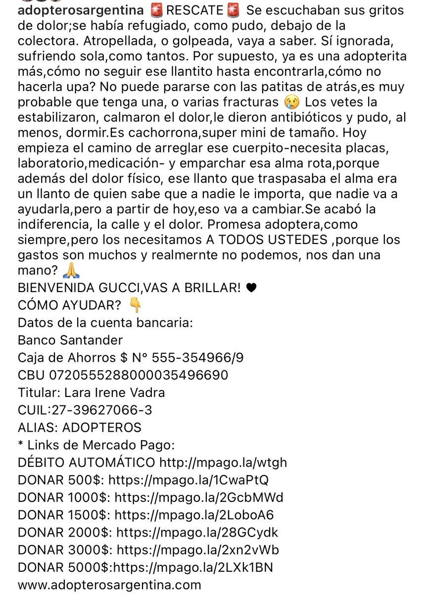 Adopteros Argentina tweet media