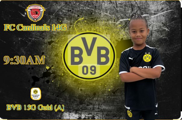 My friend is ready to beat fc cardinals #BVB is the best