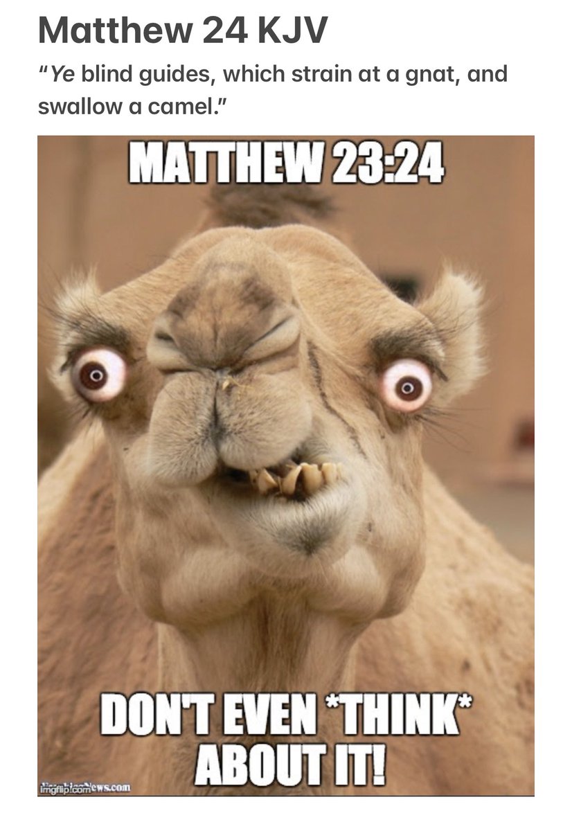 #ThingsJesusSaid 
Matthew 23:23 KJV
“Woe unto you, scribes and Pharisees, hypocrites! for ye pay tithe of mint and anise and cummin, and have omitted the weightier matters of the law, judgment, mercy, and faith: these ought ye to have done, and not to leave the other undone.”