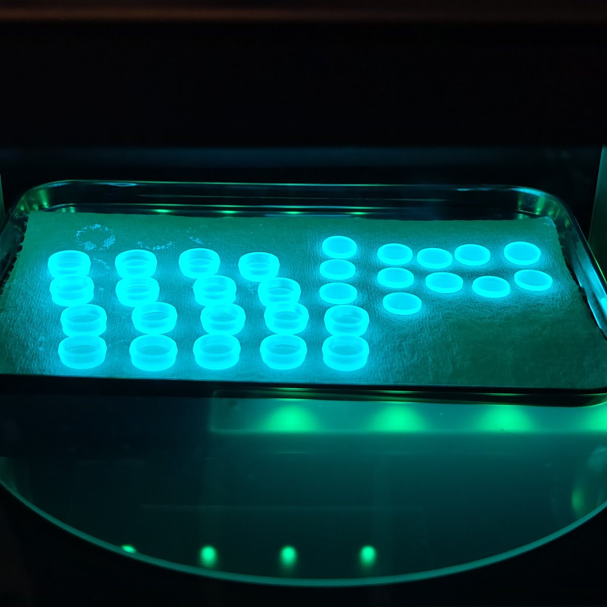 3Dプリンターの2次硬化という作業です🛸
マトリックス感のある青緑の光で焼き付けます✨
いい感じに制作できるようになってきました😊
