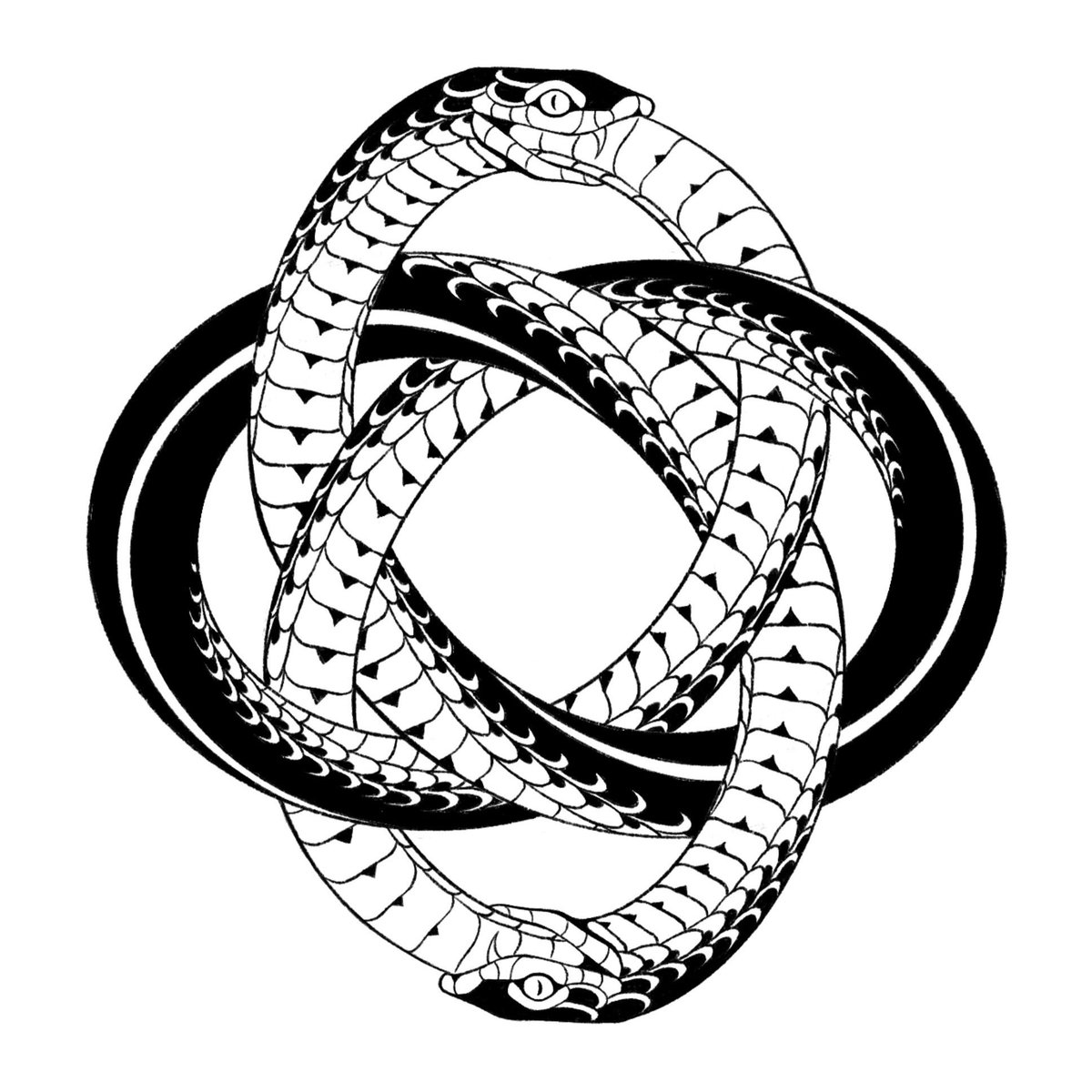simple background white background monochrome greyscale no humans animal snake  illustration images
