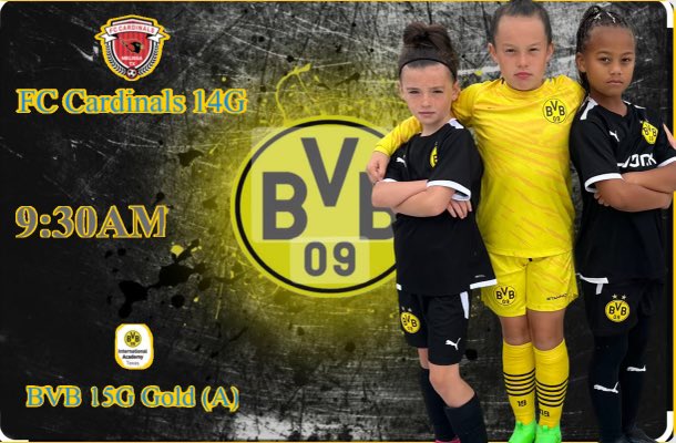 Me and my friends are ready to beat fc cardinals 14g # BvB is the best