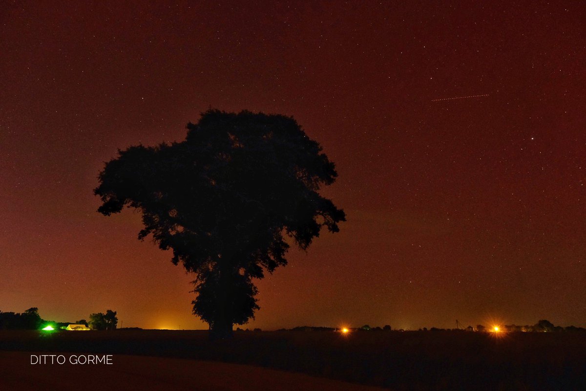 While going through the shots from Friday night, I found this frame with the Starlink Train Atmore, AL @spann @NWSMobile @rzweather @StormHour @ThomasGeboyWX @michaelwhitewx @KDanielCCI @wkrgcaroline @WKRGEd @Starlink #Auroraborealis