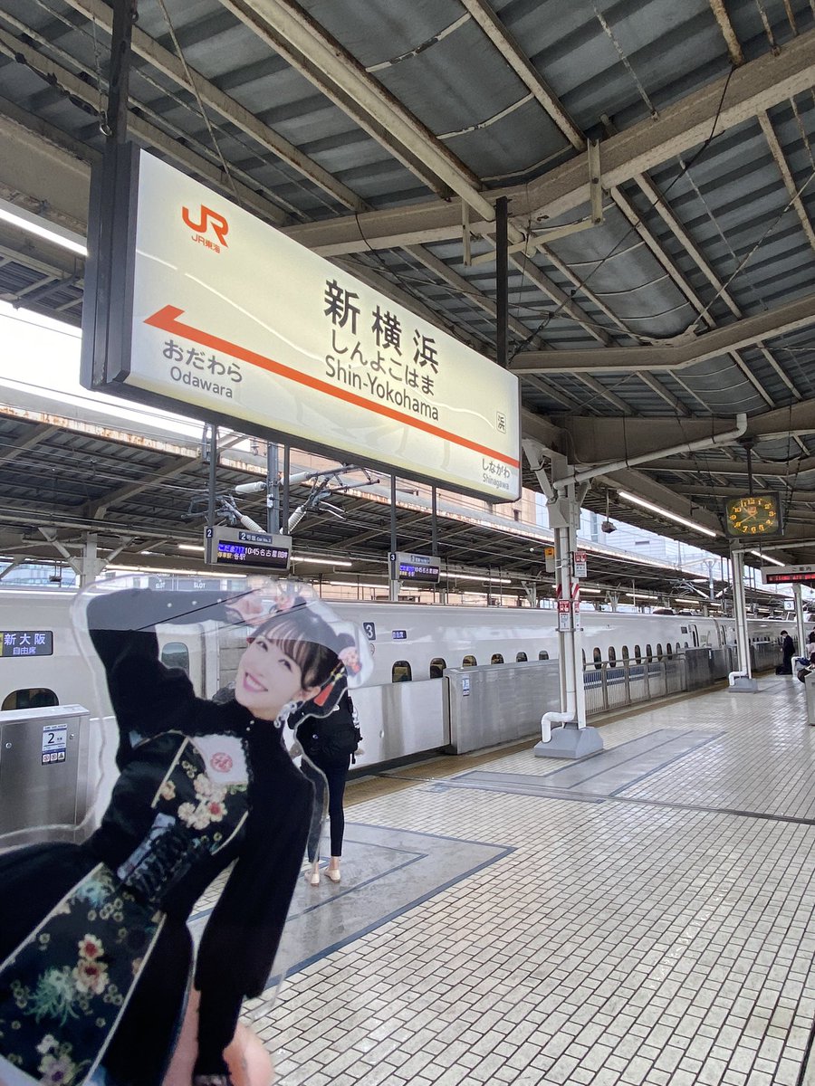 しお、、、新横浜駅だよ、、、
楽しかったね、、、

これから名古屋に帰ろうね、、、
また来ようね、、、

 #お供しお
